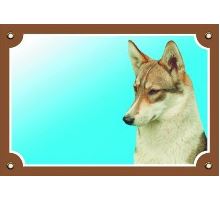 Farebná ceduľka Pozor pes Západosibírska lajka