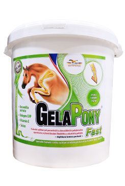 Gelapony Fast 10,8 kg