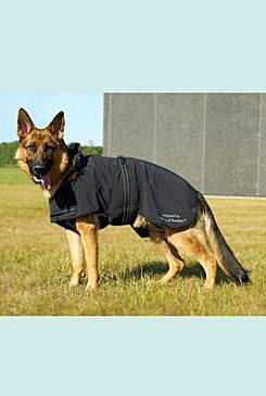 Oblek Rehab Dog Blanket Softshell 30 cm KRUUSE