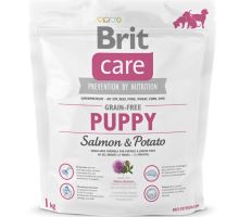 Brit Care Dog Grain-free Puppy Salmon & Potato 2 balenia 12kg