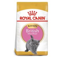 Royal Canin BREED Kitten Br. Shorthair 10kg