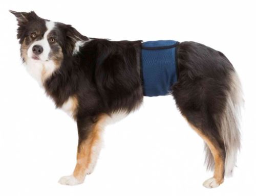 Brušný pás na podložky pre psa samca XL 65-75 cm tmavomodrý