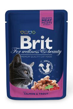 Brit Premium Cat vrecko with Salmon & Trout 100g