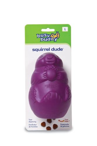 Squirrel Dude