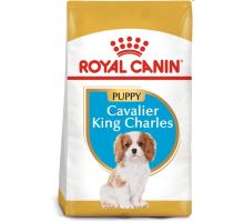 Royal Canin BREED Cavalier King Charles Junior 1,5kg
