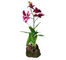Lucky Reptile Orchidej - fialová cca cca 40 cm