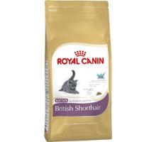 Royal Canin Feline BREED Kitten Br. Shorthair 2kg