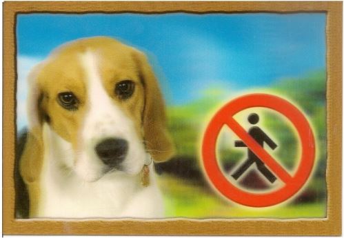 Ceduľka 3D Pozor pes Beagle