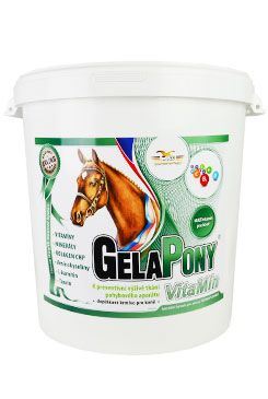 Gelapony VITAMINO 10,8 kg