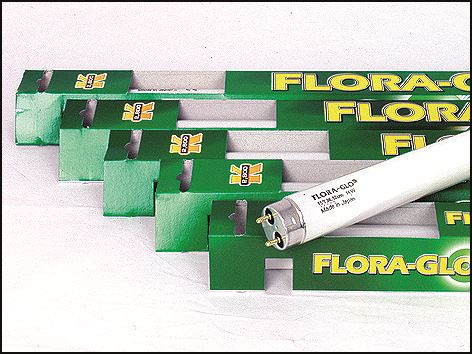 Žiarivka Flora Glo T8 - 90 cm 30W