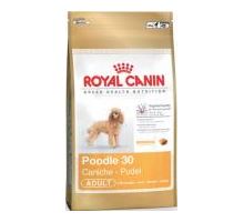 Royal Canin BREED Pudel 500g