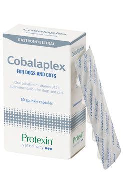 Protexin Cobalaplex pre psov a mačky 60cps