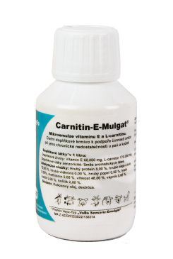 Bio-Weyxin Carnitin-E-Mulga 100ml