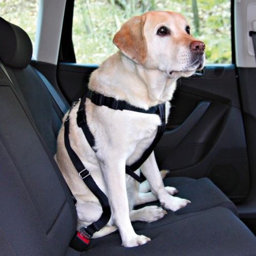 Postroj pes Bezpečnostný do auta L 70-90cm VÝPREDAJ