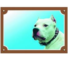 Farebná ceduľka Pozor pes Doga argentínska