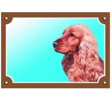 Farebná ceduľka Pozor pes Anglický koker zlatý