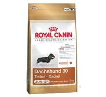 Royal canin Breed Jazvečík Junior 1,5 kg