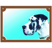 Farebná ceduľka Pozor pes Doga harlequin