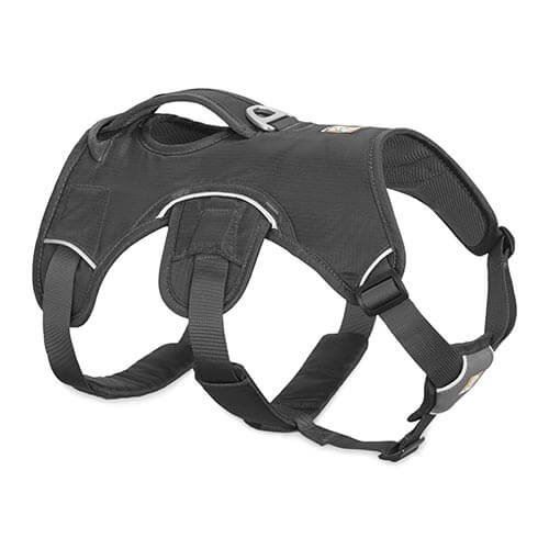 Ruffwear postroj pre psov, Web Master, sivý