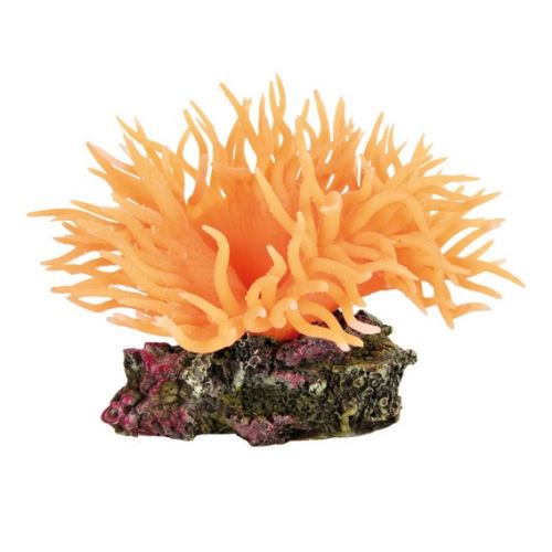 Morská riasa oranžová 11 cm TRIXIE