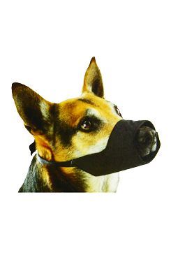 Náhubok fixačné pes BUSTER
