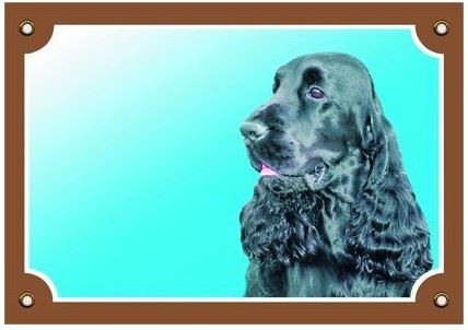 Farebná ceduľka Pozor pes Anglický koker čierny
