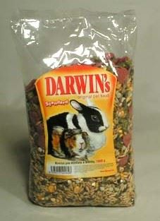Darwin morča, králik štandard 1kg
