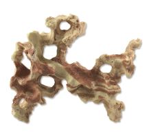 Dekorácie Kameň morský dúhový 15,5 cm 1ks