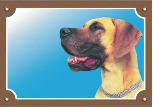 Farebná ceduľka Pozor pes Doga žltá