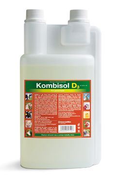 Kombisol D3 1000ml