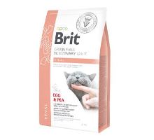 Brit VD Cat GF Renal 2kg