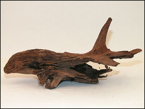Koreň Driftwood 20 - 45 cm 1ks