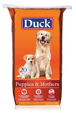 Duck Dog Puppies Mothers 20kg