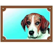 Farebná ceduľka Pozor pes Beagle
