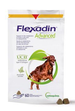 Flexadin Advanced 60tbl