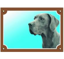 Farebná ceduľka Pozor pes Doga modrá