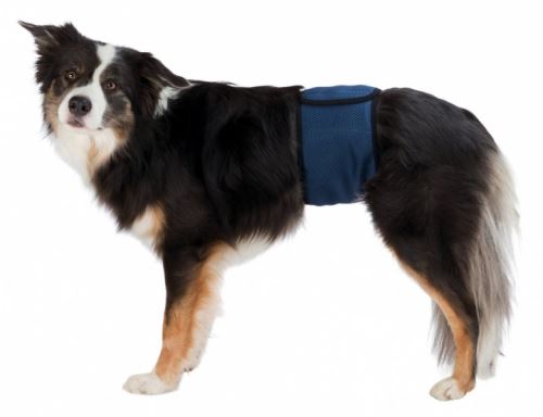 Brušný pás na podložky pre psa samca SM 37-45cm tmavomodrý