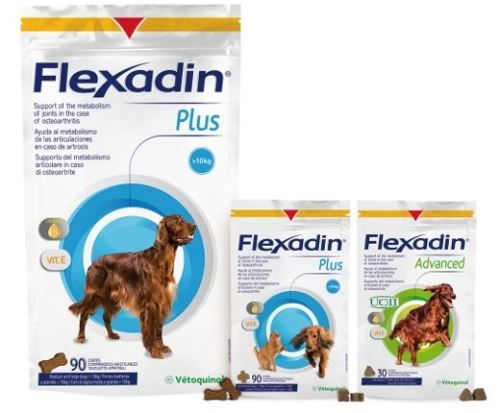 Flexadin Plus 90tbl pre stredné a veľké psy