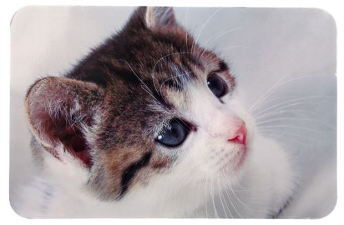 Prestieranie pre mačku pod misky - fotka mačky 43 x 28 cm