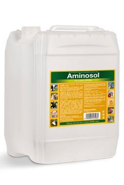 Aminosol sol 5000ml