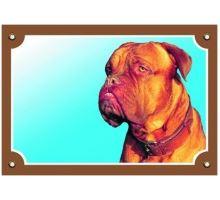 Farebná ceduľka Pozor pes Bordeauxská doga