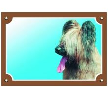 Farebná ceduľka Pozor pes Briard svetlý