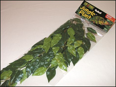 Rastlina EXO TERRA Ficus stredný 55 cm 1ks