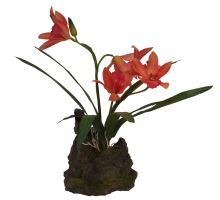 Lucky Reptile Orchidej - červená cca 25 cm
