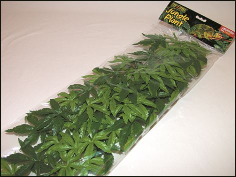Rastlina EXO TERRA Abuliton veľká 80 cm 1ks