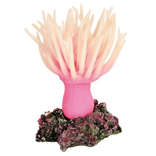 Morská riasa ružová 8 cm TRIXIE