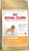 Royal Canin BREED Pudel 7,5 kg