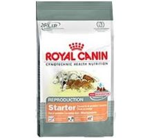 Royal canin Mini Starter M &amp; B 1kg