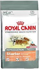 Royal canin Mini Starter M & B 1kg