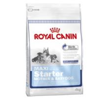 Royal Canin Maxi Starter M &amp; B 15kg
